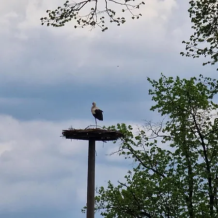 Wroblewsky Apartment