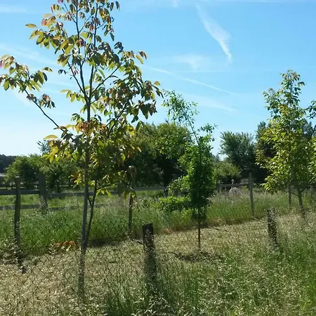 Apartamento Wroblewsky