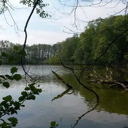 Wroblewsky