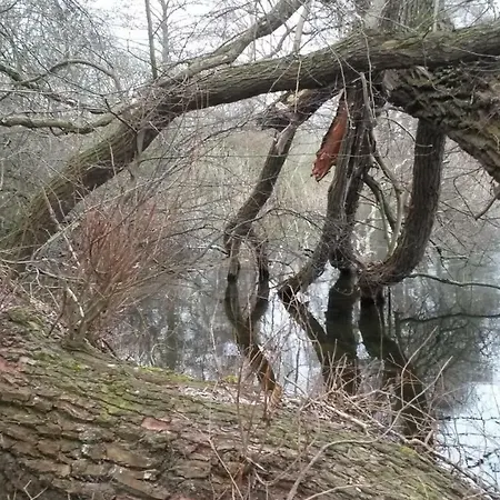 Wroblewsky Apartamento