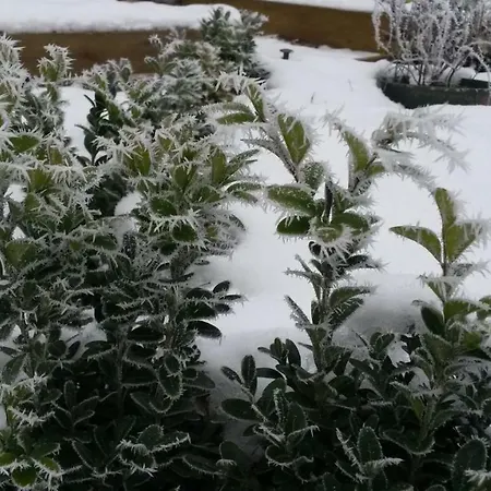 Wroblewsky * Klein Ziethen