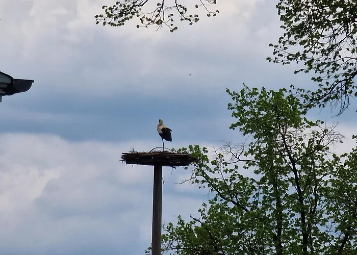 Wroblewsky Lejlighed