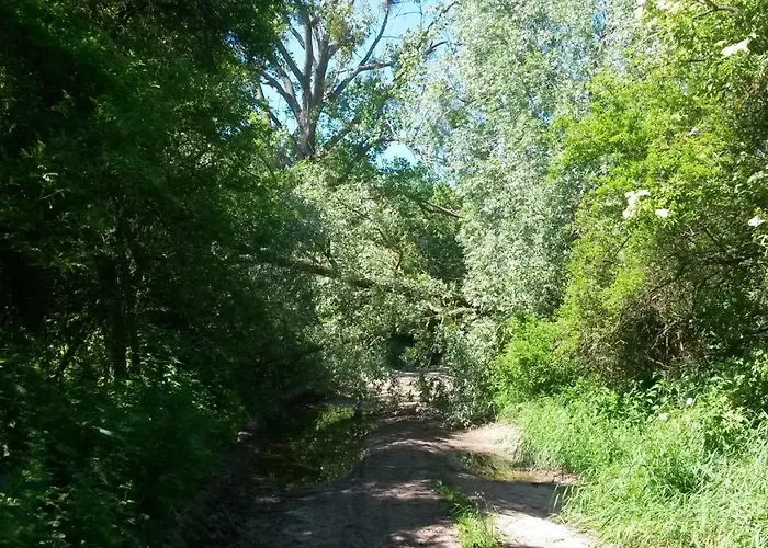 Wroblewsky Lejlighed