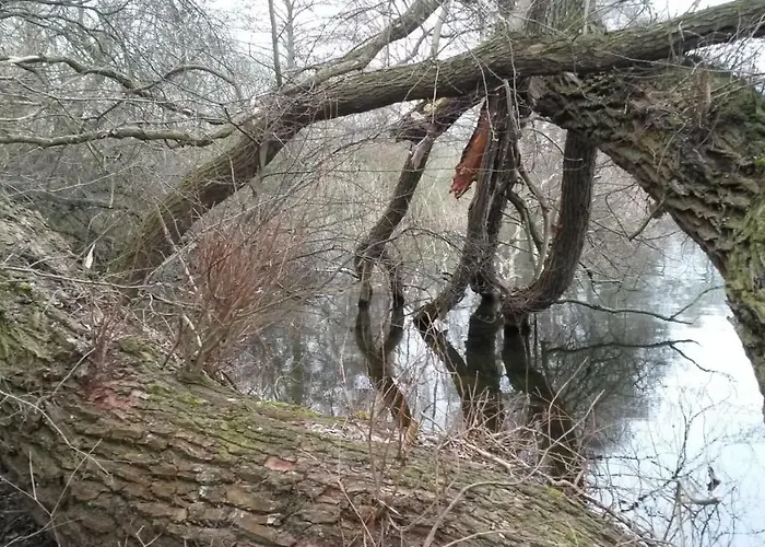 Wroblewsky Lejlighed