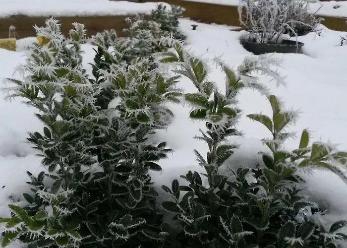 Wroblewsky * Klein Ziethen